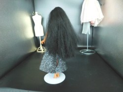 cher feathers bk view